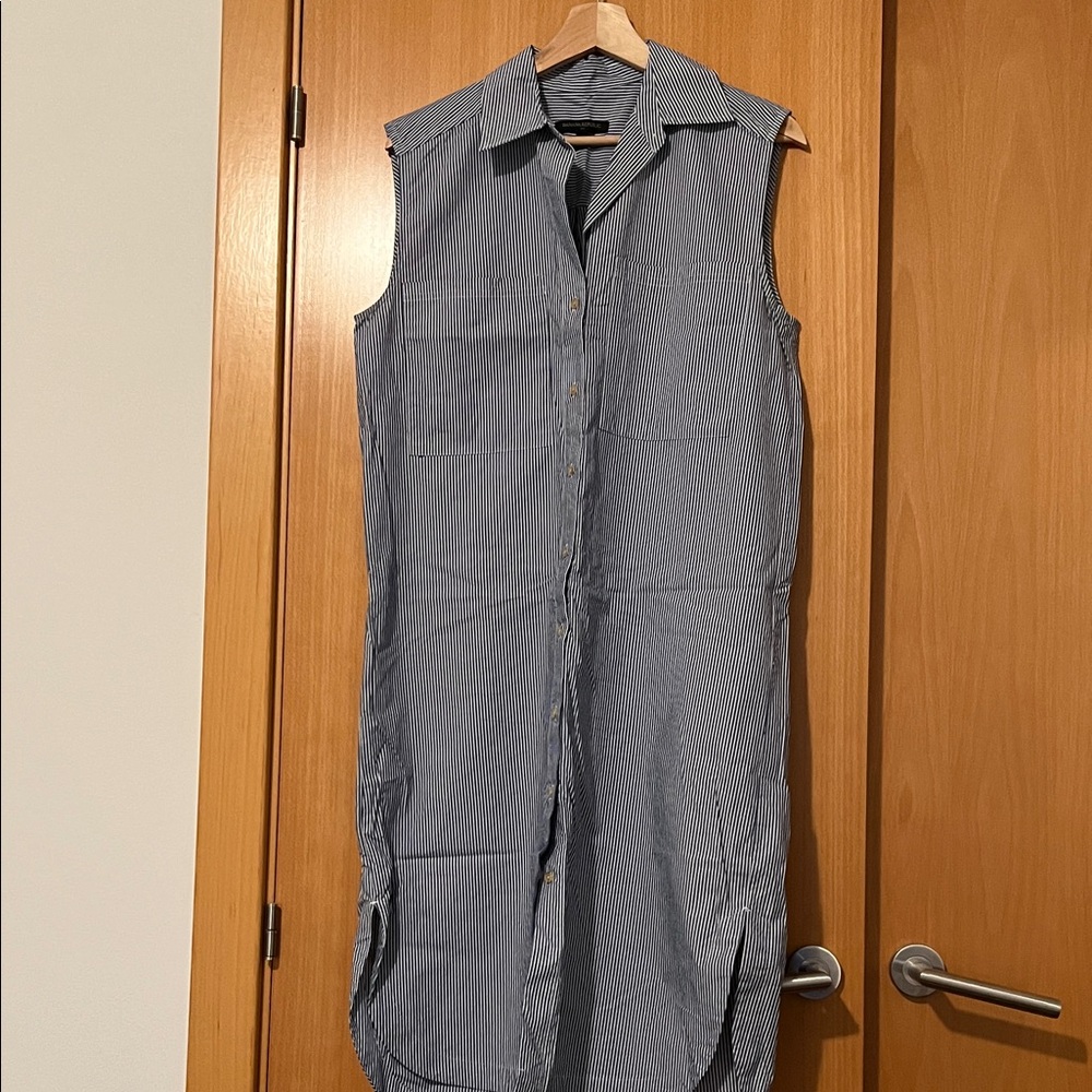Banana Republic Blue Striped Sleeveless Dress